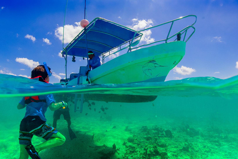 Snorkelen en mangroven met lunch in Baru white beach Cartagena