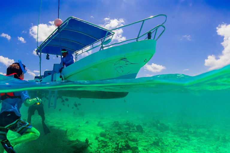 Snorkling och mangroveskog med lunch i Baru white beach Cartagena