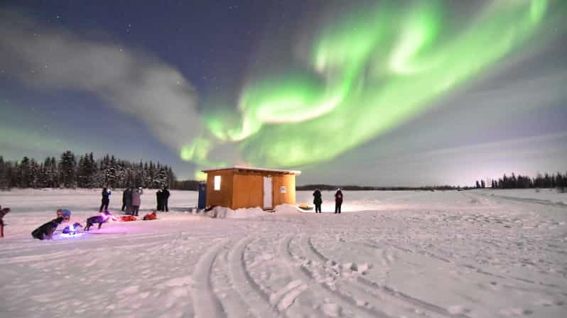 Fairbanks: Dog Sledding and Mushing Experience | GetYourGuide