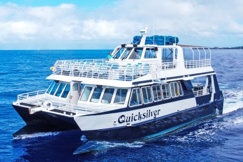 From Lahaina: Lana'i Snorkel and Dolphin Adventure Cruise