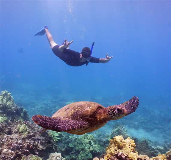 From Ma'alaea Harbor: Lana'i Snorkel and Dolphin Adventure | GetYourGuide