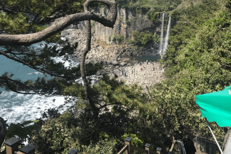 Jeju: UNESCO-Listed Southern Authentic Day Tour
