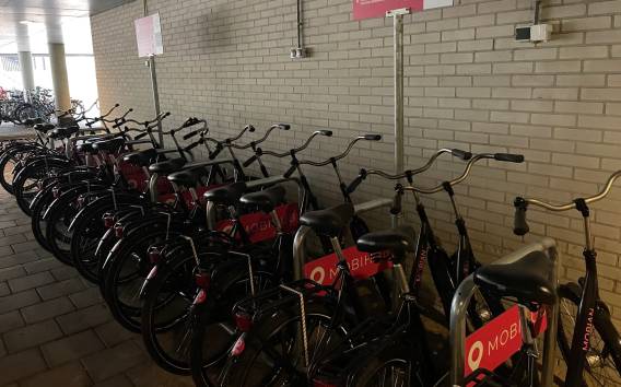 Amsterdam: Mieten Sie ein Fahrrad mit kostenlosem Parkplatz im Süden von Amsterdam