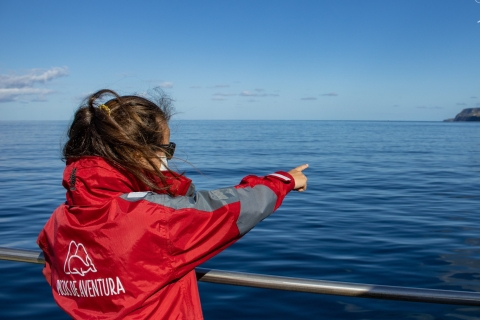 Terceira: halve dag dolfijnen en walvissen spotten