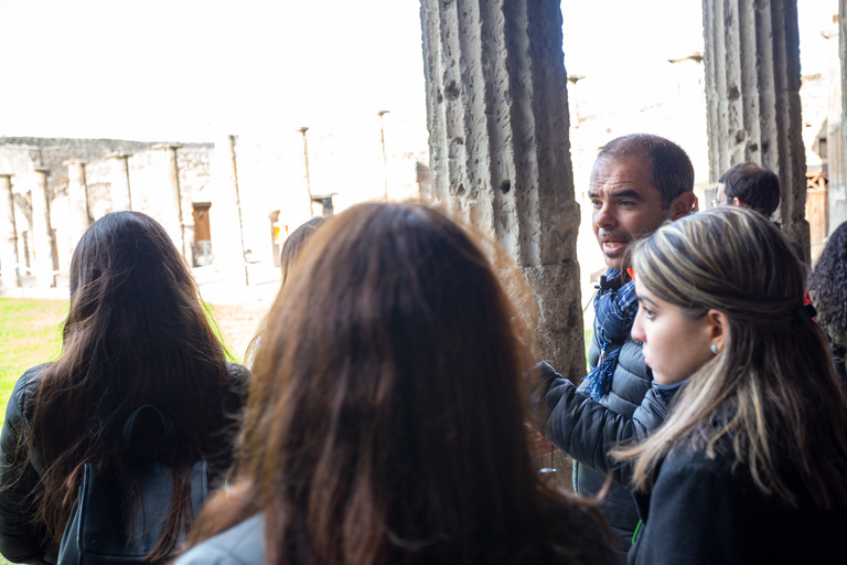 Da Roma: Escursione di un giorno alle rovine di Pompei con servizio di prelievo in hotelPompei: tour di un giorno in portoghese