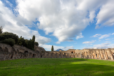 Från Rom: Pompeji-ruinerna Dagsutflykt med upphämtning från hotellFrån Rom: Hel dags rundtur till Pompeji – på portugisiska