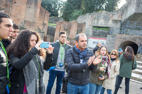 Från Rom: Pompeji-ruinerna Dagsutflykt med upphämtning från hotellFrån Rom: Hel dags rundtur till Pompeji – på portugisiska