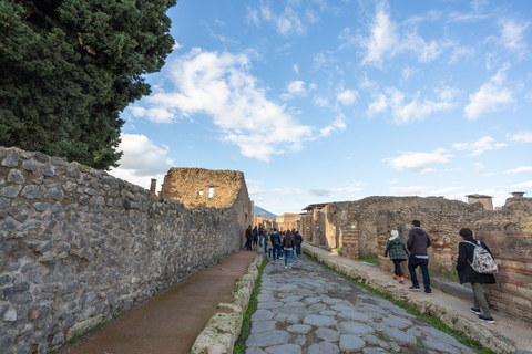 Da Roma: Escursione di un giorno alle rovine di Pompei con servizio di prelievo in hotelPompei: tour di un giorno in portoghese