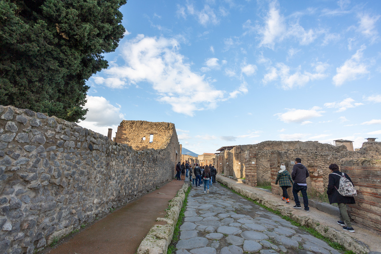 Depuis Rome : visite guidée des ruines de PompéiPompéi : excursion d’une journée en portugais