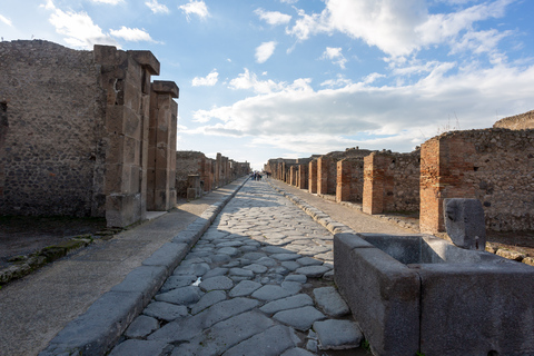 Da Roma: Escursione di un giorno alle rovine di Pompei con servizio di prelievo in hotelPompei: tour di un giorno in portoghese