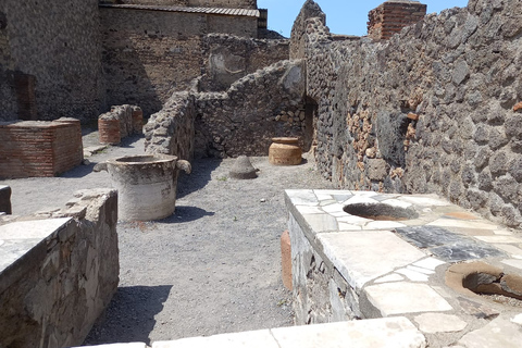 Da Roma: Escursione di un giorno alle rovine di Pompei con servizio di prelievo in hotelPompei: tour di un giorno in portoghese