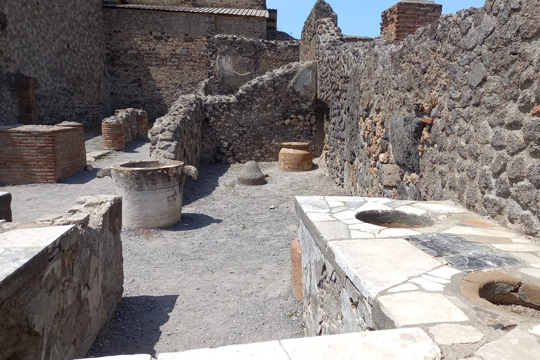 Da Roma: Escursione di un giorno alle rovine di Pompei con servizio di prelievo in hotelPompei: tour di un giorno in portoghese