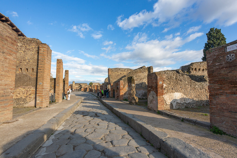 De Roma: Viagem de 1 dia às Ruínas de Pompeia com serviço de busca no hotelExcursão de 1 Dia a Pompeia em Português