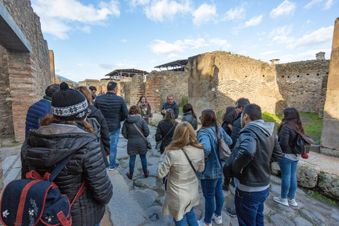 De Roma: Viagem de 1 dia às Ruínas de Pompeia com serviço de busca no hotelExcursão de 1 Dia a Pompeia em Português