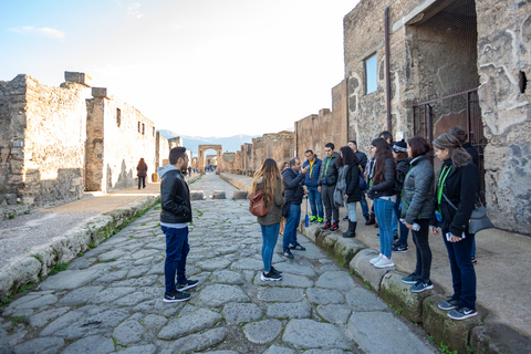 Da Roma: Escursione di un giorno alle rovine di Pompei con servizio di prelievo in hotelPompei: tour di un giorno in portoghese