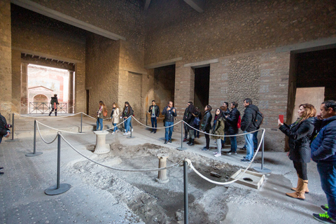 Da Roma: Escursione di un giorno alle rovine di Pompei con servizio di prelievo in hotelPompei: tour di un giorno in portoghese