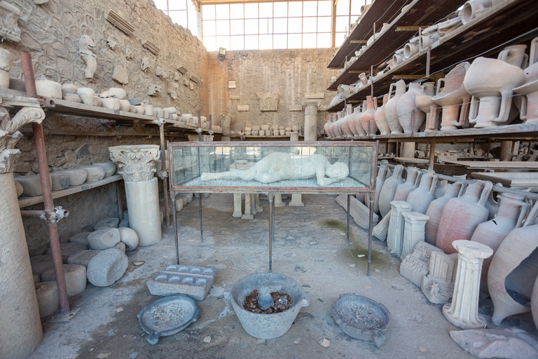 Da Roma: Escursione di un giorno alle rovine di Pompei con servizio di prelievo in hotelPompei: tour di un giorno in portoghese