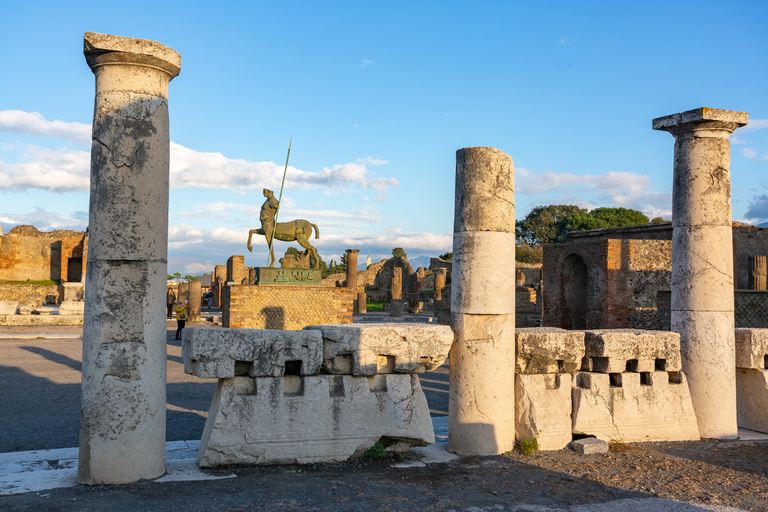 Da Roma: Escursione di un giorno alle rovine di Pompei con servizio di prelievo in hotelPompei: tour di un giorno in portoghese