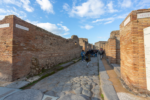 Da Roma: Escursione di un giorno alle rovine di Pompei con servizio di prelievo in hotelPompei: tour di un giorno in portoghese