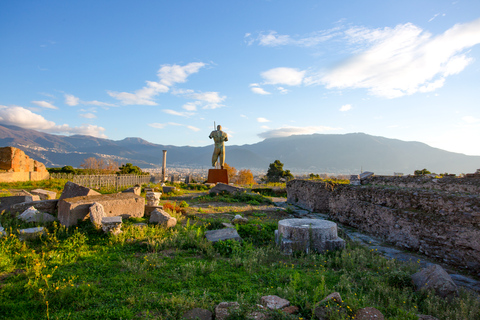 Z Rzymu: całodniowa wycieczka do Pompejów i ich ruinCałodniowa wycieczka po Pompejach w j. portugalskim