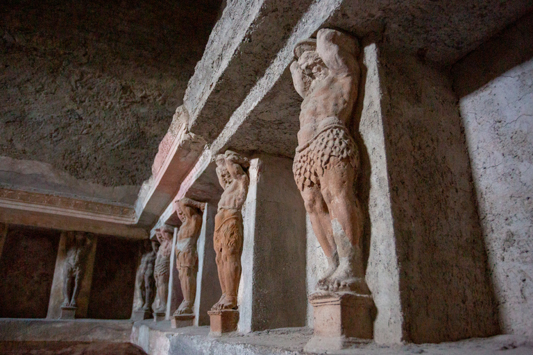 Da Roma: Escursione di un giorno alle rovine di Pompei con servizio di prelievo in hotelPompei: tour di un giorno in portoghese