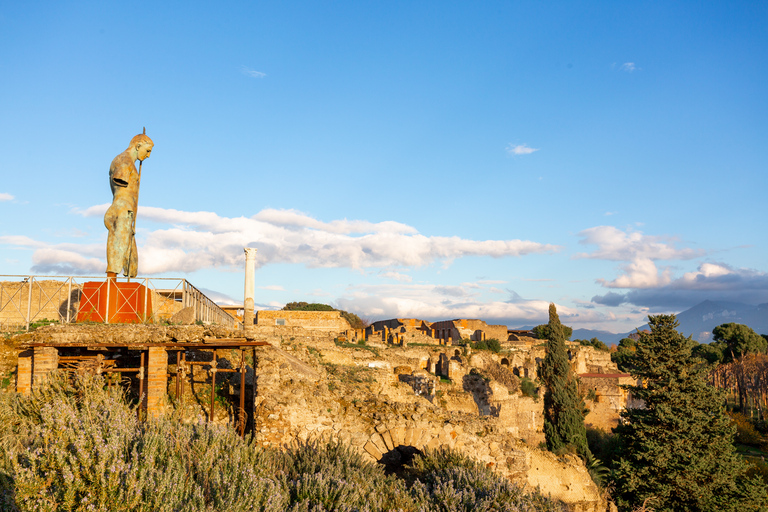 Depuis Rome : visite guidée des ruines de PompéiPompéi : excursion d’une journée en portugais