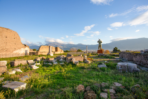 Från Rom: Pompeji-ruinerna Dagsutflykt med upphämtning från hotellFrån Rom: Hel dags rundtur till Pompeji – på portugisiska