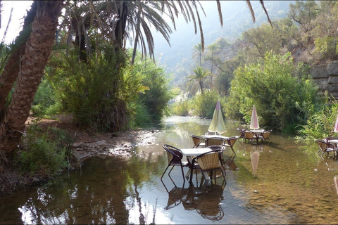 Agadir: Saharaöknen &amp; Paradisdalen + kamelridning &amp; lunchAvresa från Agadir