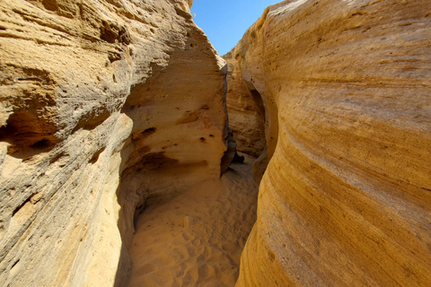 Agadir: Tagesausflug zu Sanddünen und Paradise Valley mit MittagessenAbreise von Taghazout