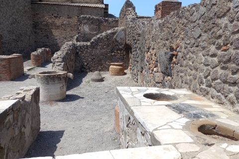 From Rome: Round-Trip Transfer to Pompeii and its Ruins English Tour Leader