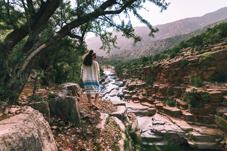 Agadir: Tagesausflug zu Sanddünen und Paradise Valley mit MittagessenAbreise von Taghazout