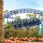 San Diego: Biglietto di ingresso prioritario al parco di SeaWorld