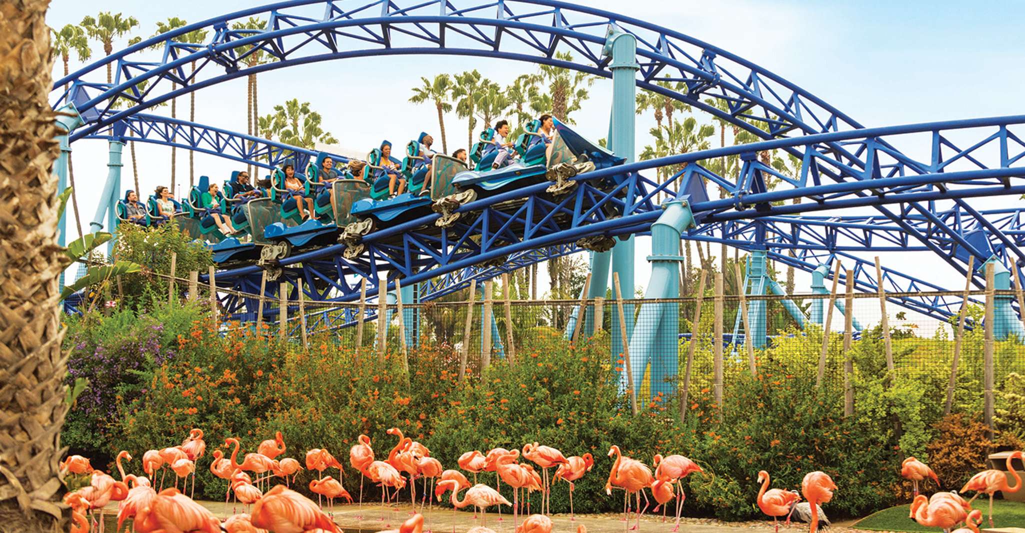 San Diego: SeaWorld Skip-the-Line Park Admission Ticket