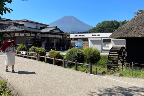 4-Daagse privétour Mt Fuji, Hakone, Nikko en Tokio.