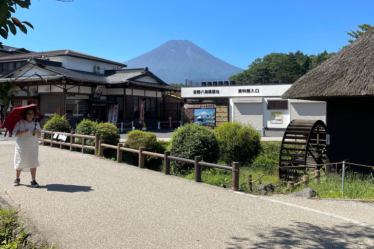 4-Daagse privétour Mt Fuji, Hakone, Nikko en Tokio.