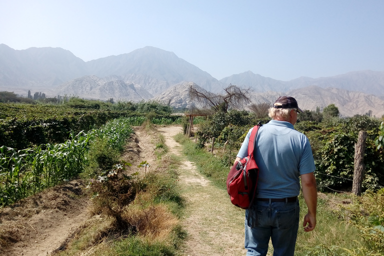 From Miraflores: Caral the Oldest Civilization in America