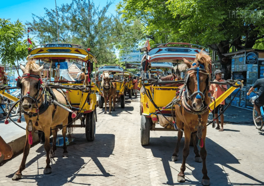 Von Bali Aus 2 Tägige Private Gili Island Schnorchel Tour Mit Hotel Getyourguide 1255