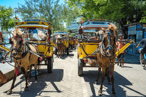 From Bali: Gili Islands 2-Day Tour with Beachfront Resort From Bali: Gili Islands 2-Day Tour with Beachfront Bungalow