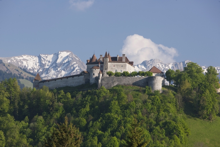 Suisse : Billets Swiss Travel Pass FlexSwiss Travel Pass 4 jours Flex pour voyager en première classe