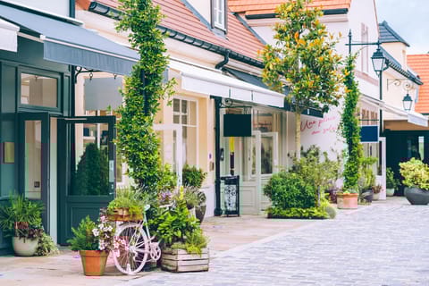 From Paris: Luxury Shopping Experience at La Vallée Village