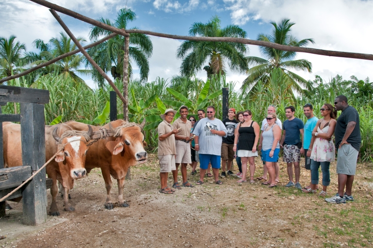 From Punta Cana: Safari Tour and Horseback Ride with Lunch