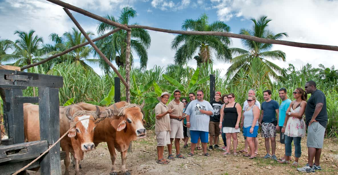 punta cana farm tour