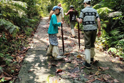 From Colombo/Kalutara: Full-Day Sinharaja Guided Eco Trek