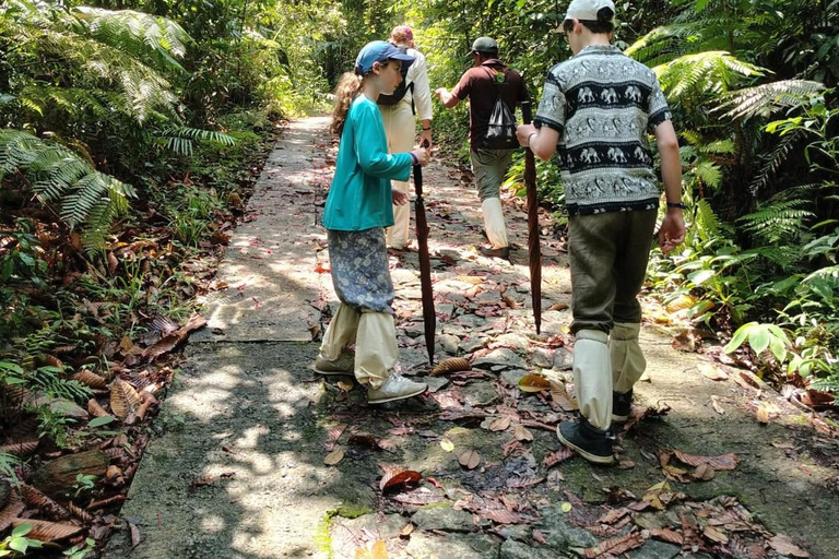 From Colombo/Kalutara: Full-Day Sinharaja Guided Eco Trek