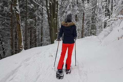 Estes Park: Rocky Mountain National Park Snowshoeing Tour