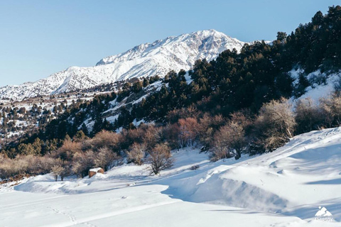 From Tashkent: Amirsoy, Chimgan & Charvak Mountain Day Trip For Local Visitors