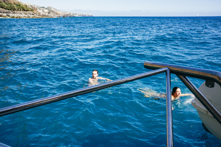 Funchal: Dolfijnen en walvissen kijken per luxe catamaranDolfijn- en walvissafari Luxe Catamaran