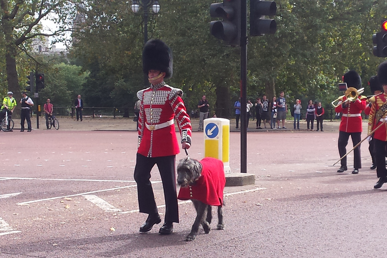 London: Changing of the Guard Walking Tour