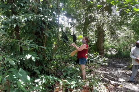 Cayo Dristrict: Jungle Zipline en clandestiene grotkajakken