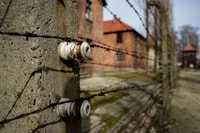 Auschwitz-Birkenau, boleto de omisión y visita guiada - Housity